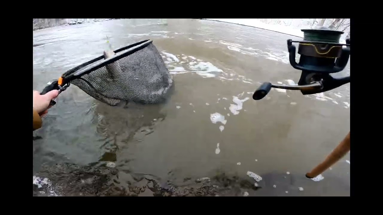 LAKE ONTARIO NY TRIBUTARY FISHING JANUARY 16TH 2026 HALF DAY SESSION 