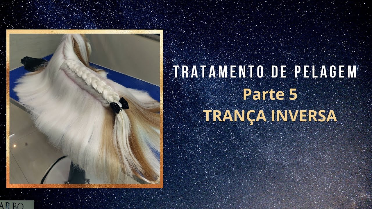 Como fazer penteado em cão de pelagem longa no banho e tosa