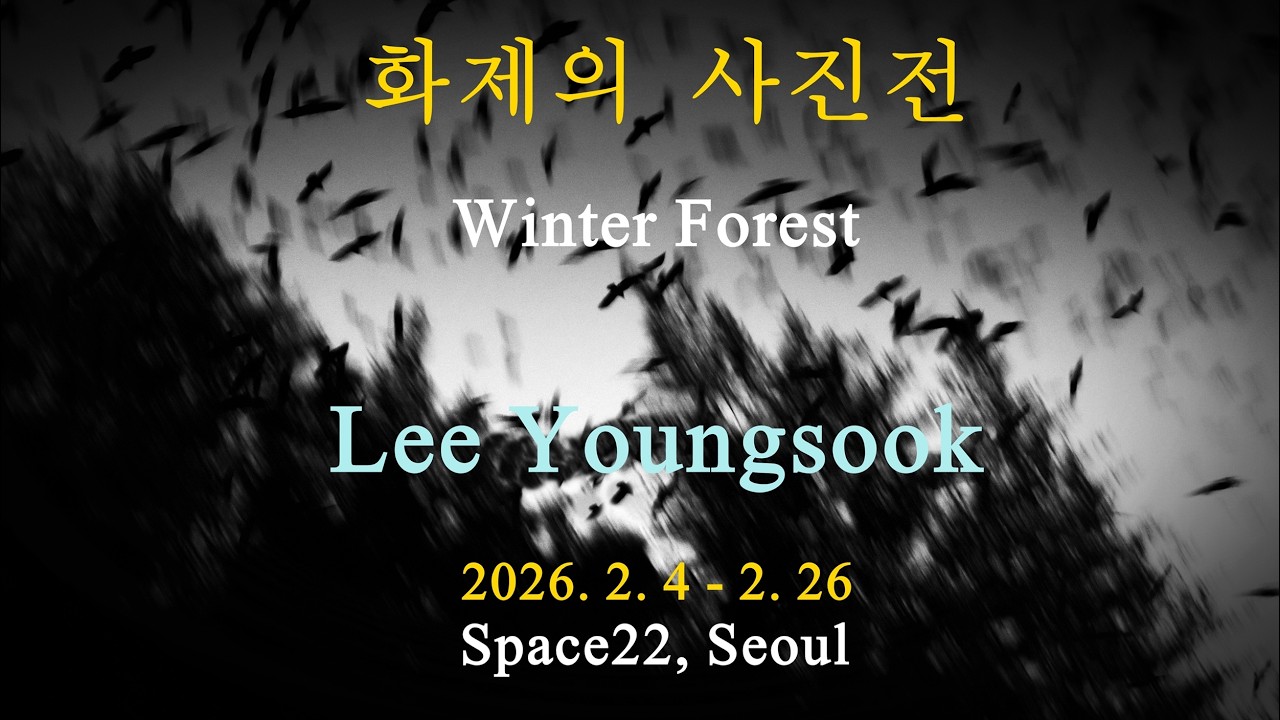 화제의 전시-이영숙사진전 Winter Forest