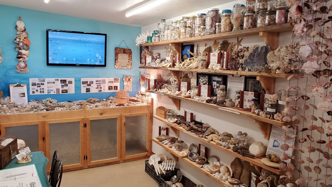 Tiny Seashell Museum on the Sea of Cortez