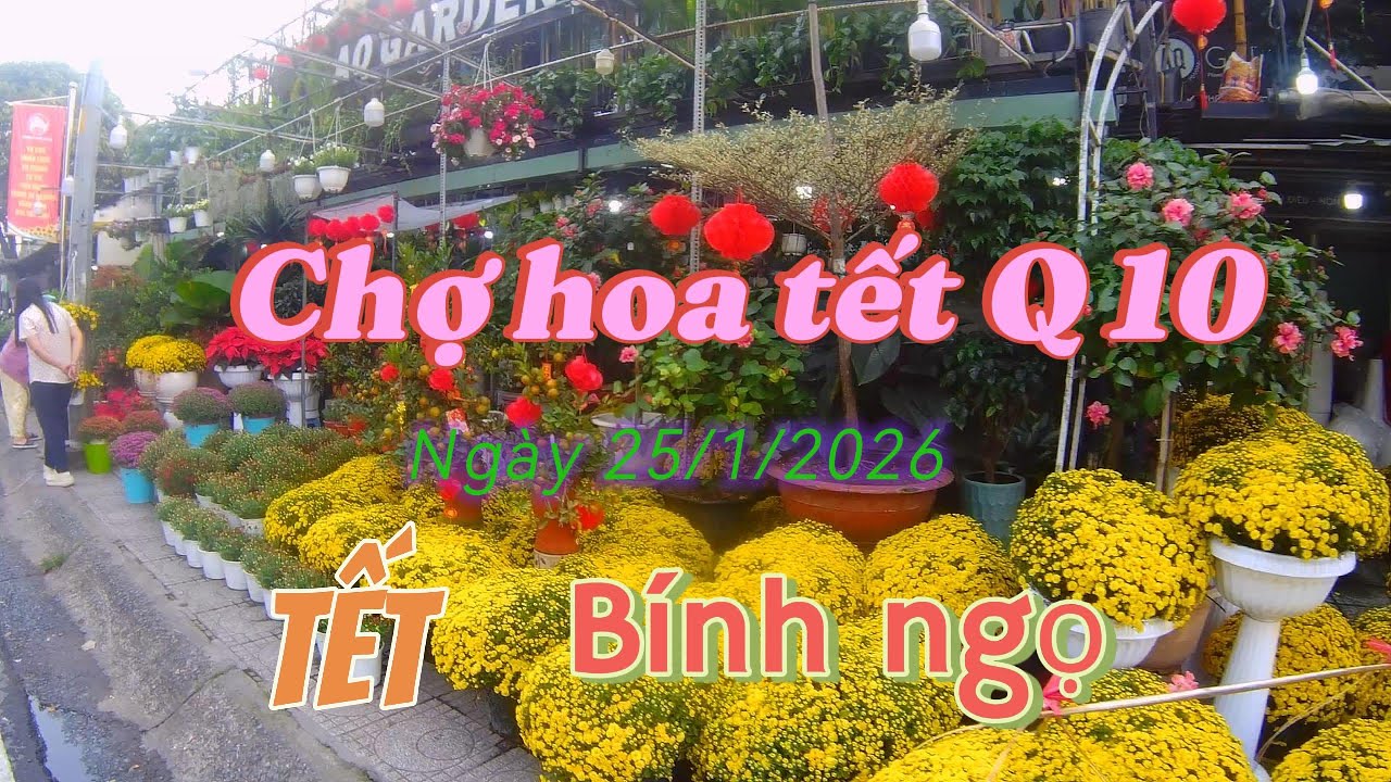 Cập nhật chợ hoa Tết Quận 10 Ngày 25/1 năm Bích Ngọ 2026 (4K)