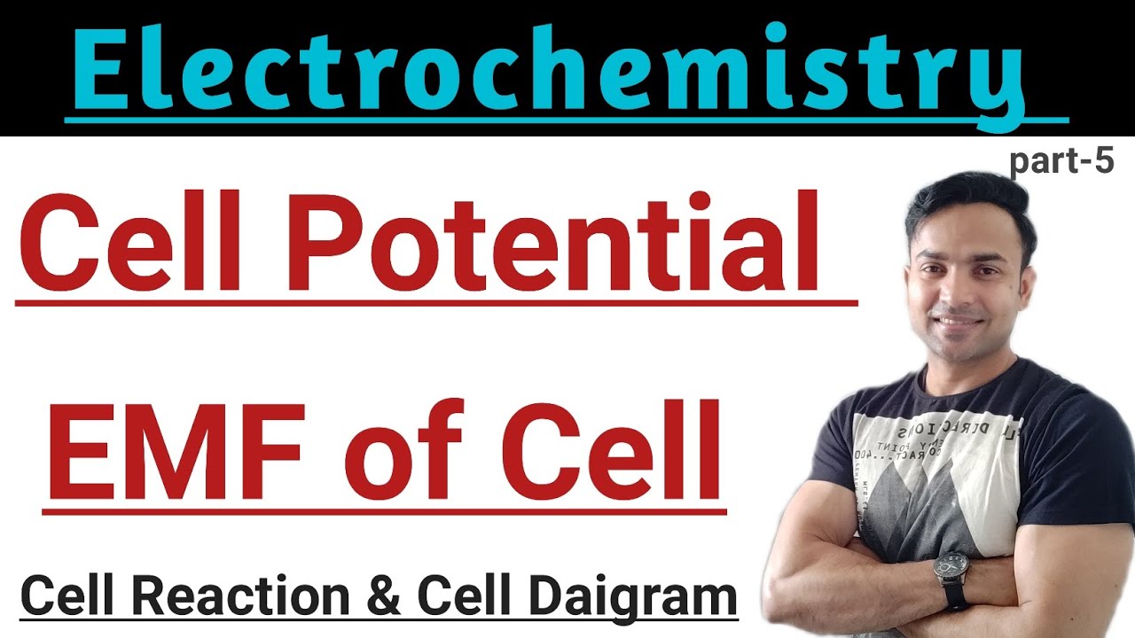 Cell Potential/ EMF of the cell/ Cell Potential Electrochemistry