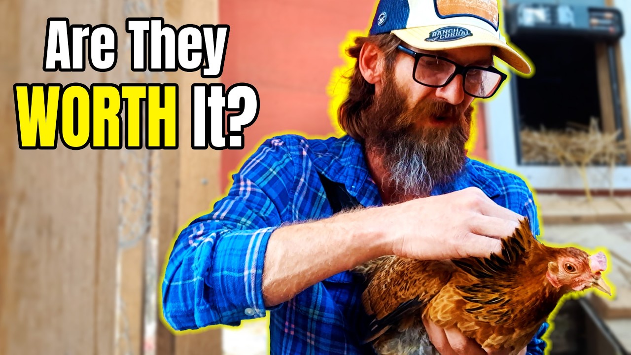 What I LEARNED After 1 Year of RAISING Chickens 