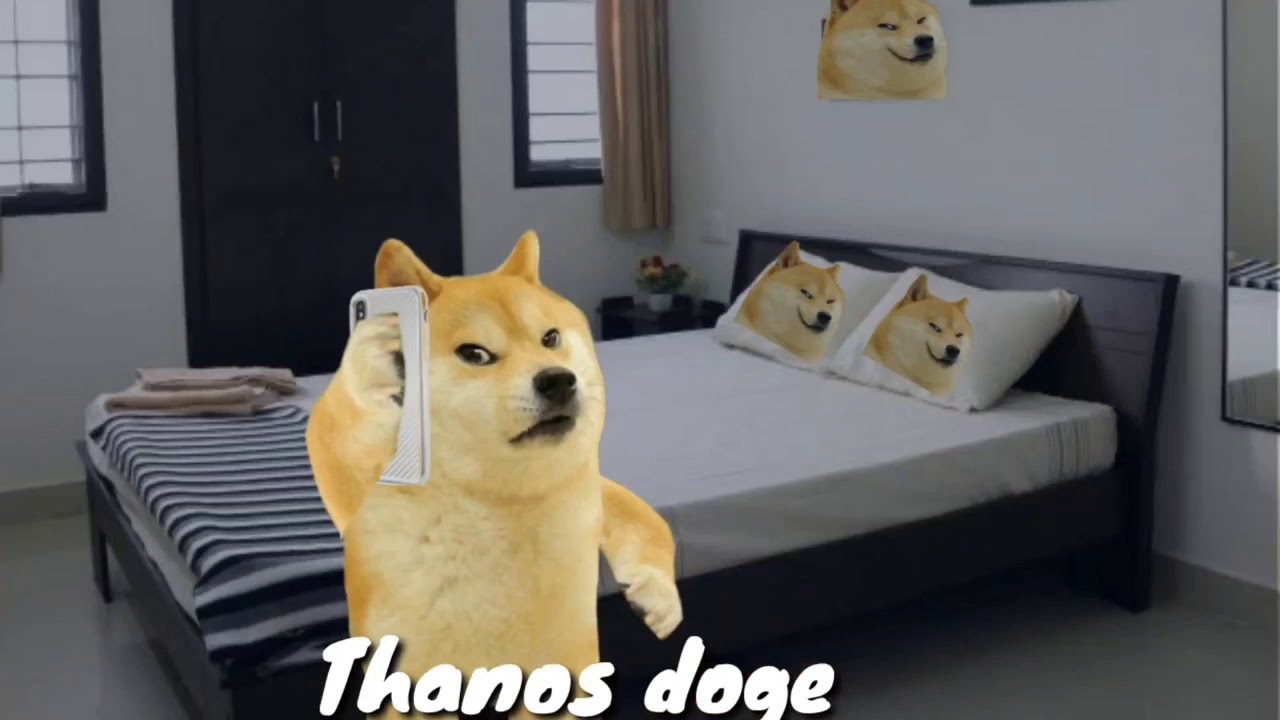 Phonepe cash credit fraud call-Cheems doge . ( Doge memes _ funny call) ft.thanos doge