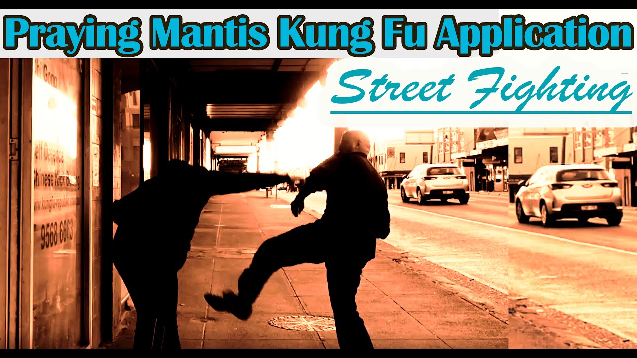 Kung Fu training 2021: How to use Praying Mantis Kung Fu in Street Fighting