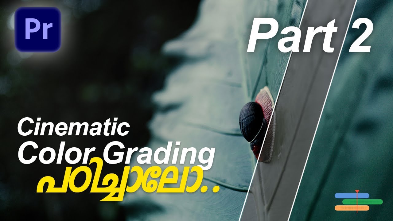 How to Color Grade Like a Pro Malayalam | Part 2 | Cinematic Color Grading Premiere | Edit Like PRO