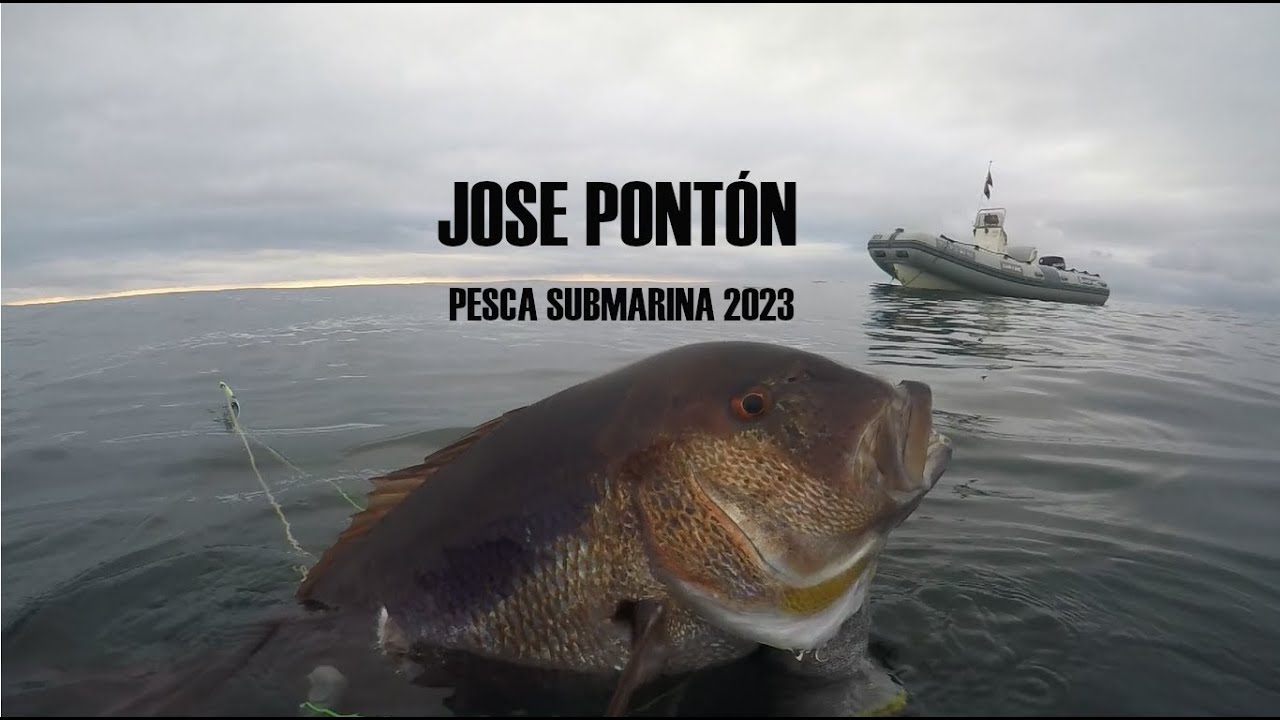 JOSE PONTON - PESCA SUBMARINA 2023 - Lubinas y Dentones en Asturias en poca agua