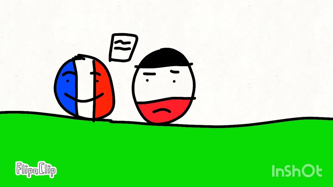 l'histoire de France en flipaclip.