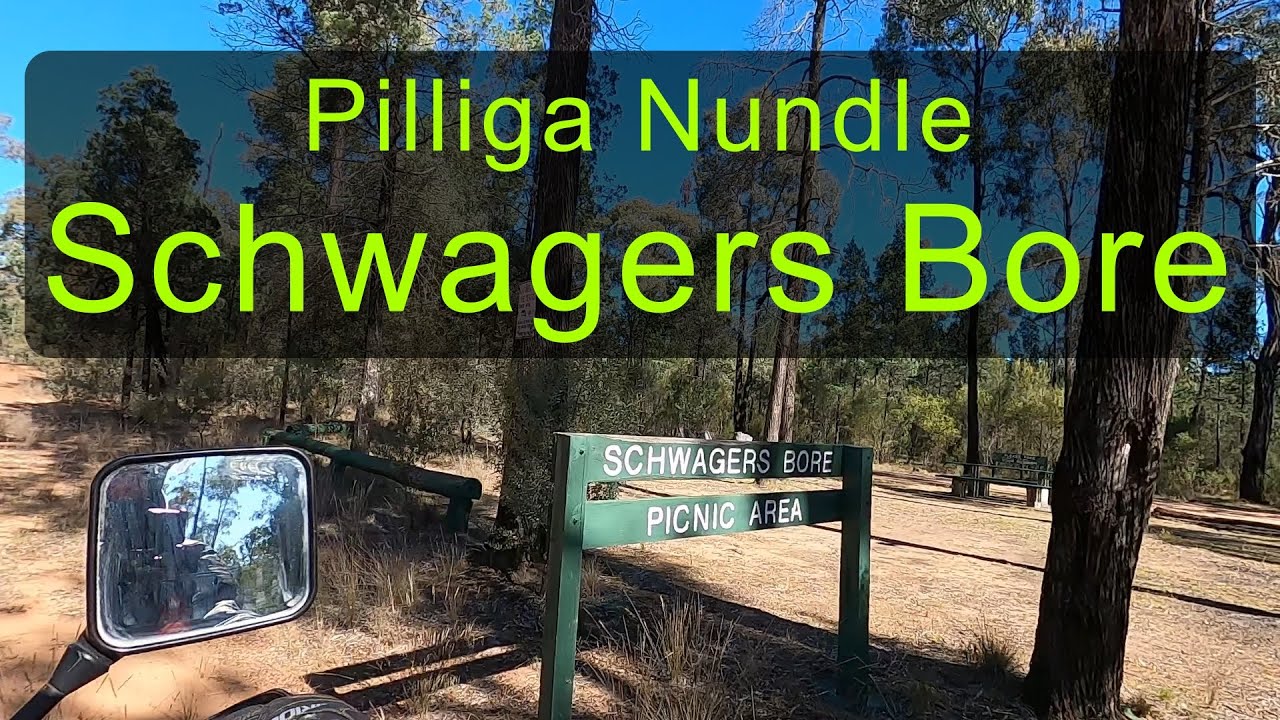 NSW Forest Look Pilliga Nundle E2