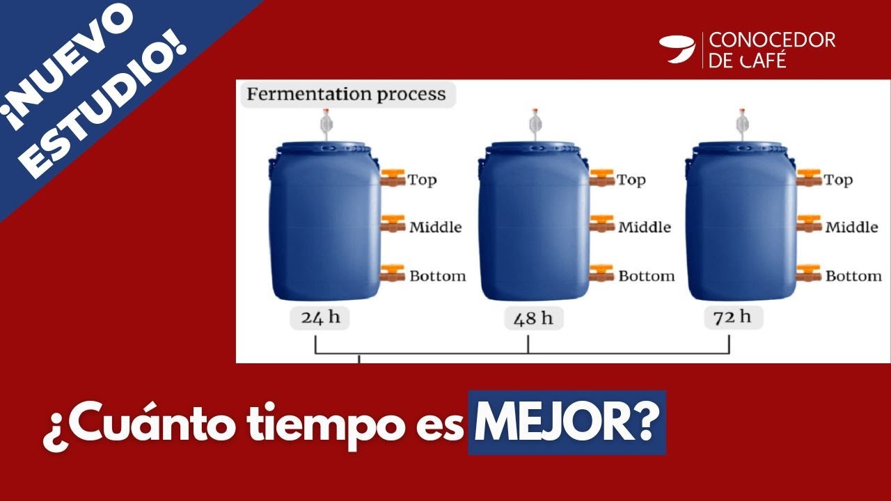 FERMENTACIÓN inducida de CAFÉ: 24, 48 Y 72 horas ¿Cuál es MEJOR? | Estudio en BRASIL Dic 2022.