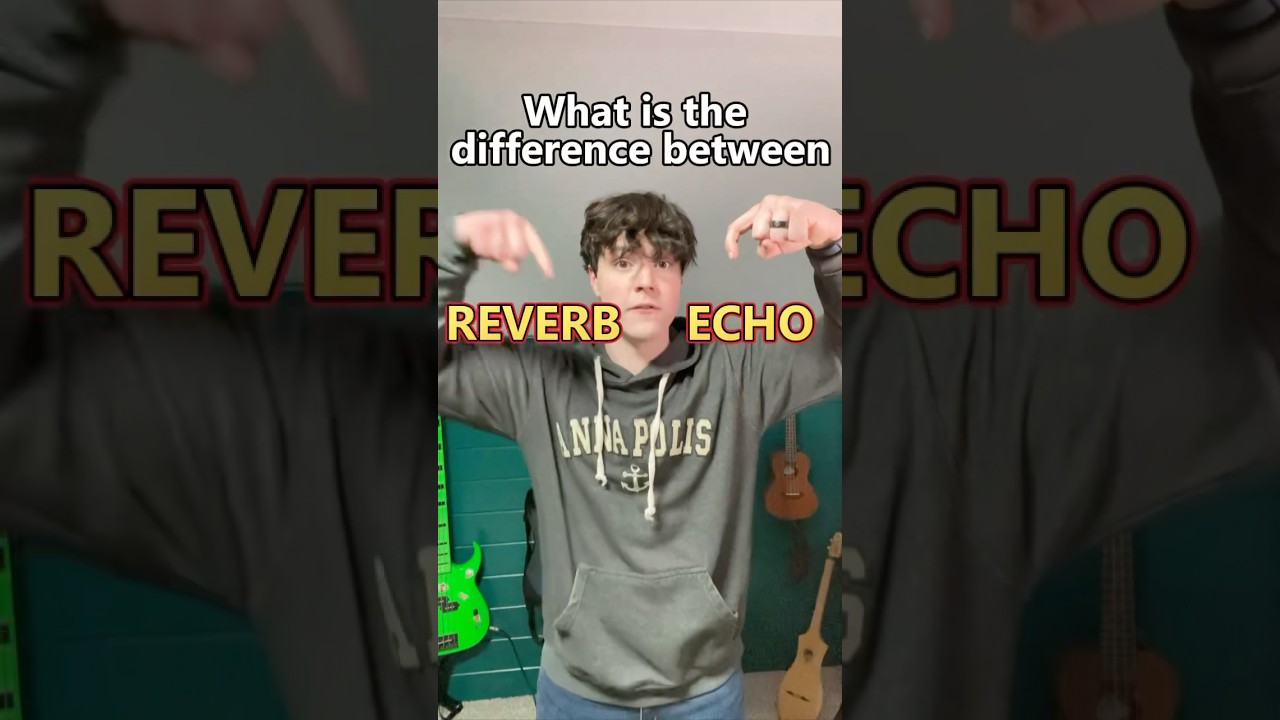What is the difference between reverb and echo? #producer #livebeatmaking #reverb #echo #beginners