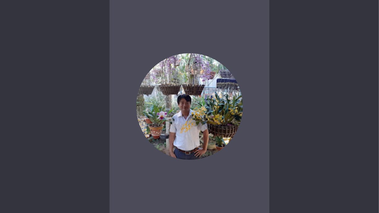 II BÌNH CAO NGUYÊN