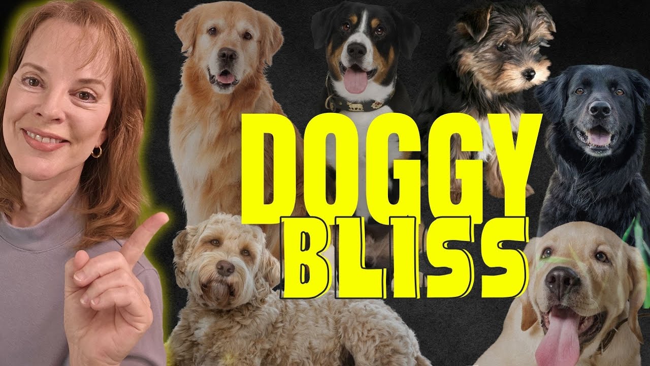 5 Dog Boarders in Marin You Want to Know About!
