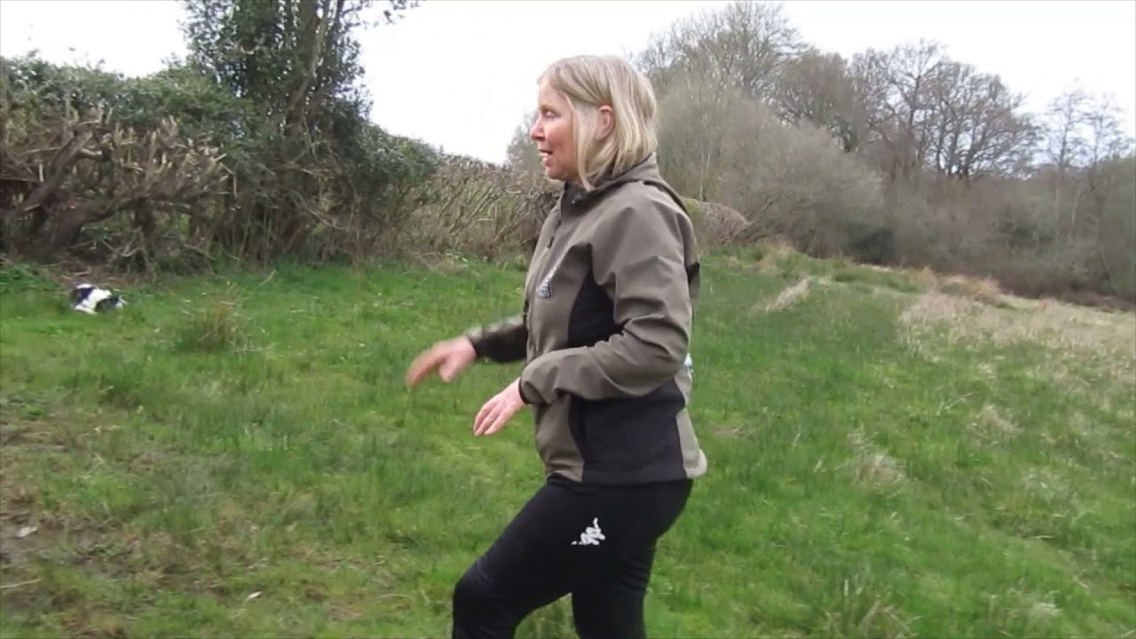 High Weald Nature Nuggets: Tracks and Trails