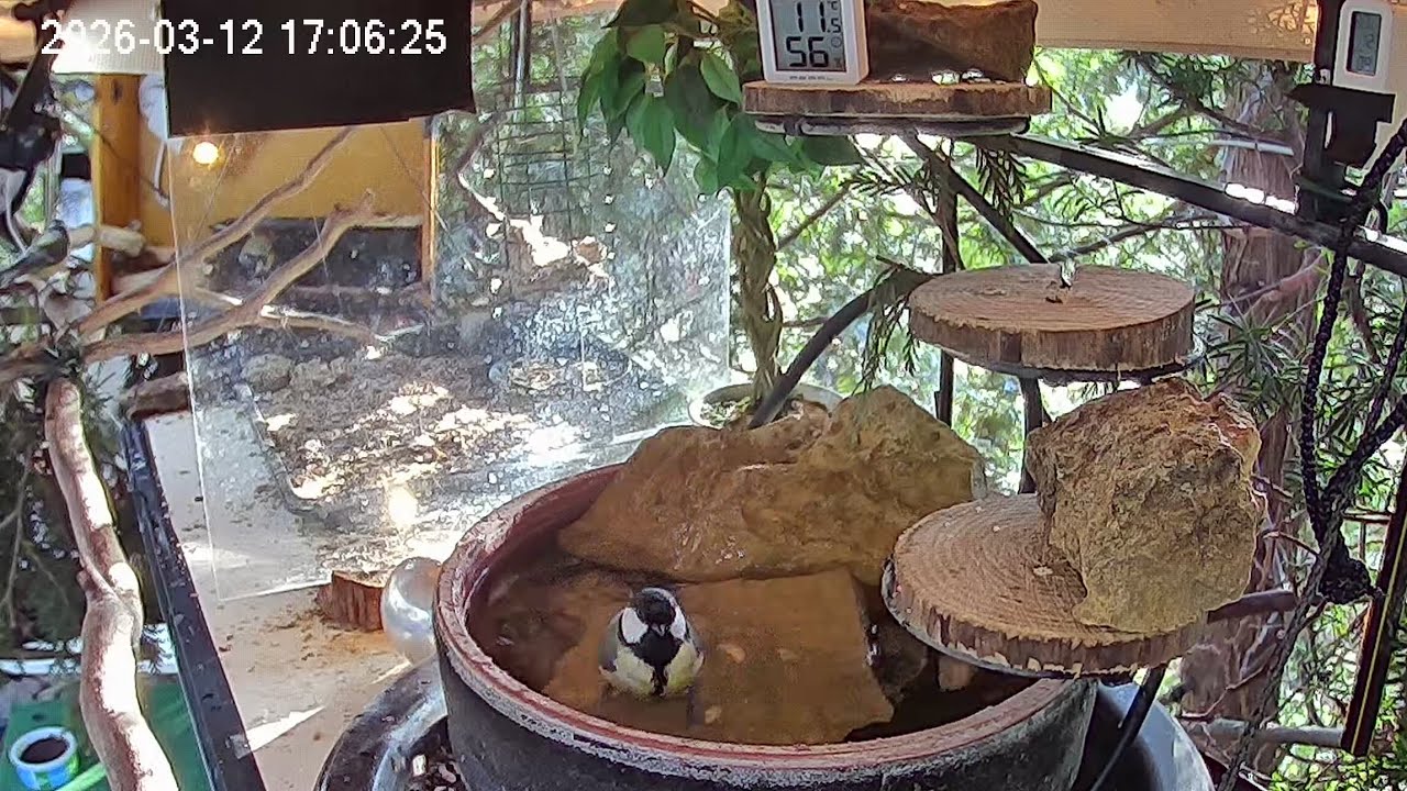 Entspannter Nachmittag am Vogel-Spa (12.03.2027)