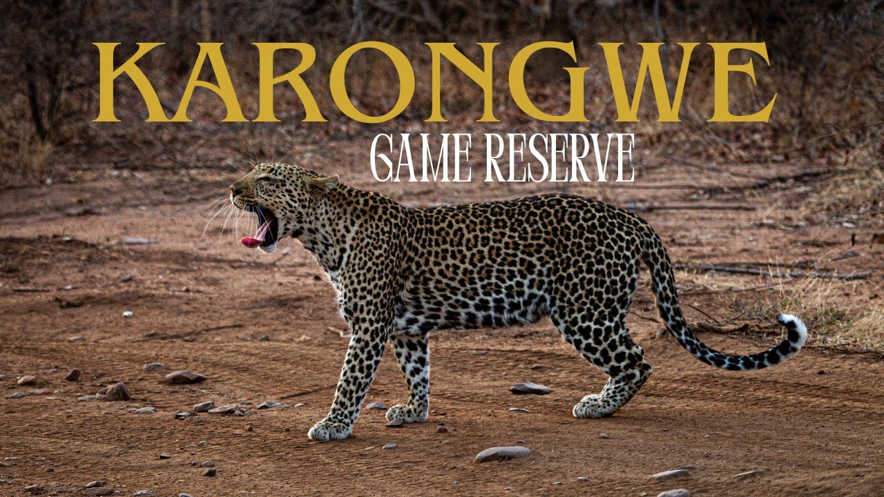 Exploring Karongwe Private Game Reserve