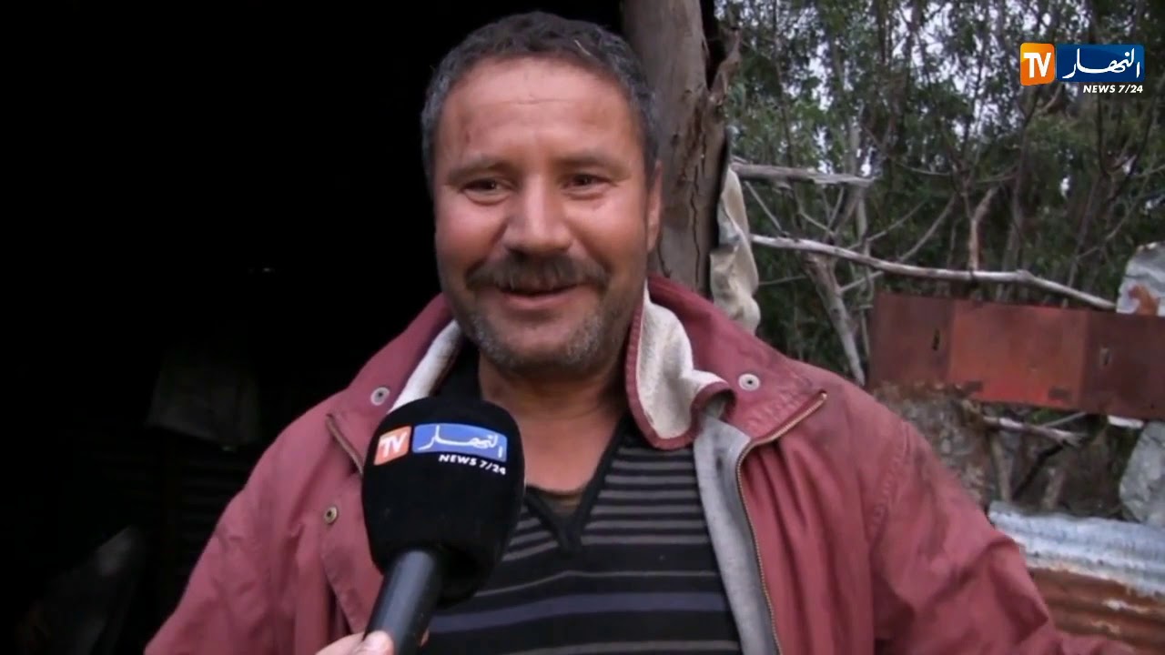 قسنطينة: الحطب وسيلة سكان مشتة جنان الباز ببني حميدان للطهي والتدفئة
