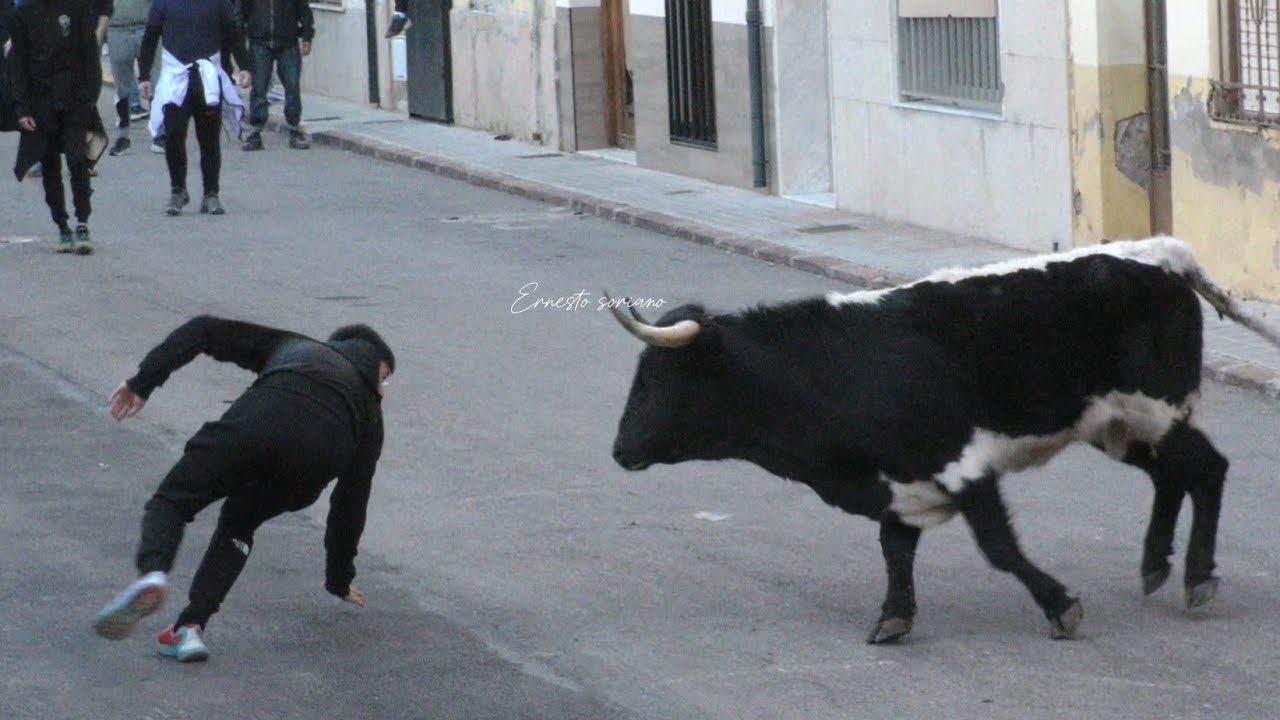 Betxi , Almenara ..Resumen de los Directos. 23 Enero 2026