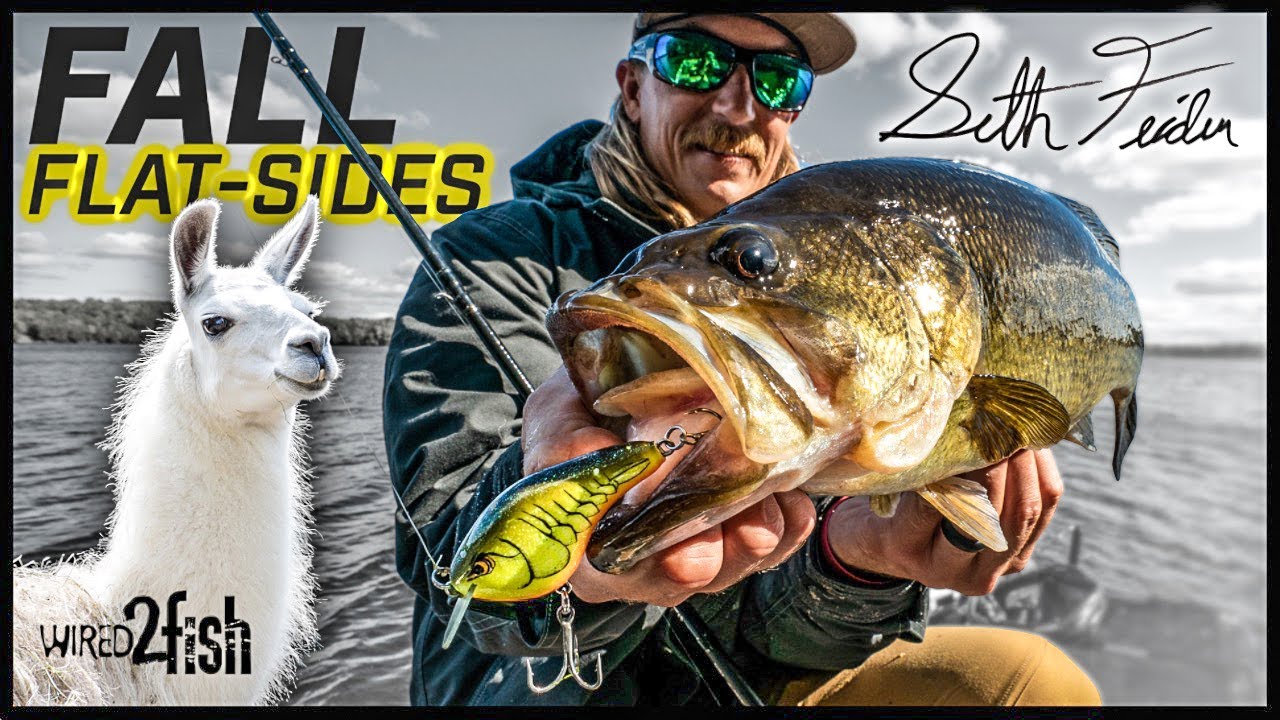 Feider’s 5 Crankbait Tips for Better Fall Bass Fishing