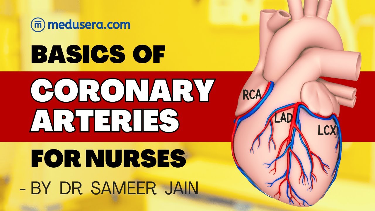 Coronary Arteries for 