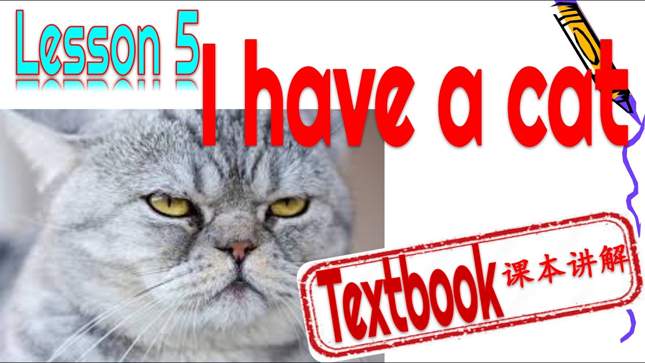 🐱INSTRUCTION|Kuaile hanyu book 1 Lesson 5 I have a cat||讲解 快乐汉语 学生用书第一册 第五课 我有一只猫