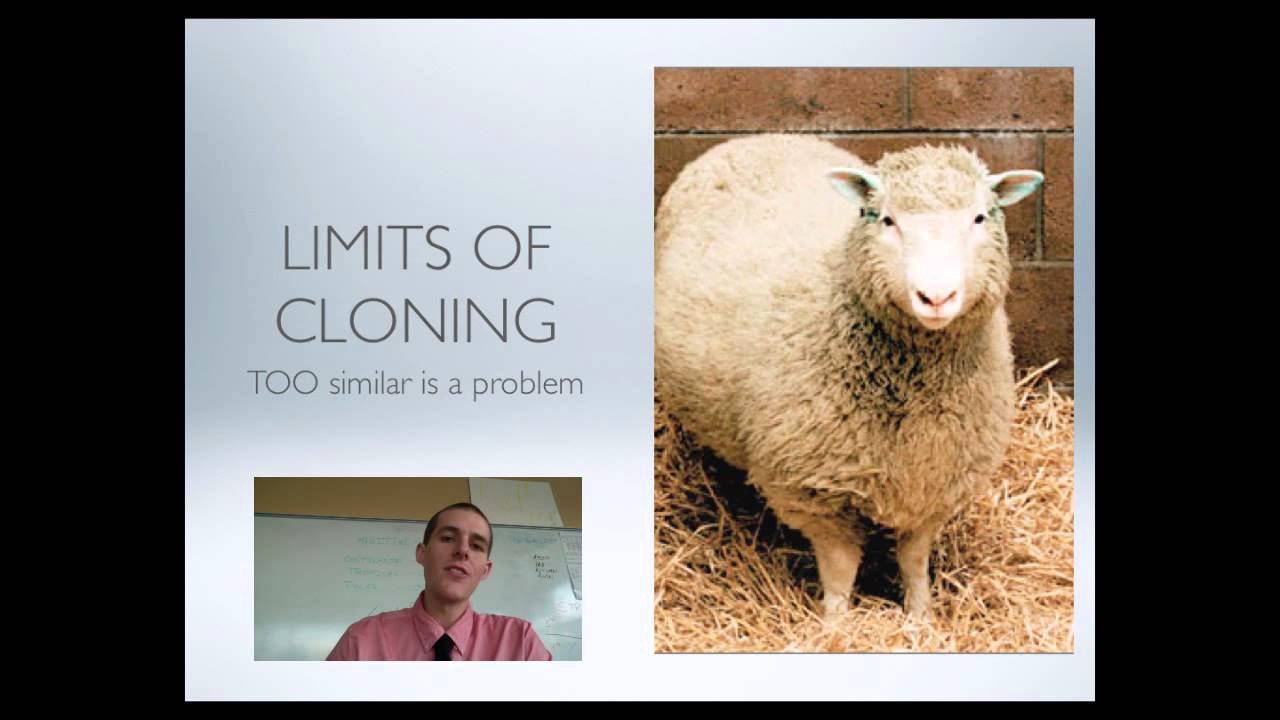 Cloning and Stem Cells