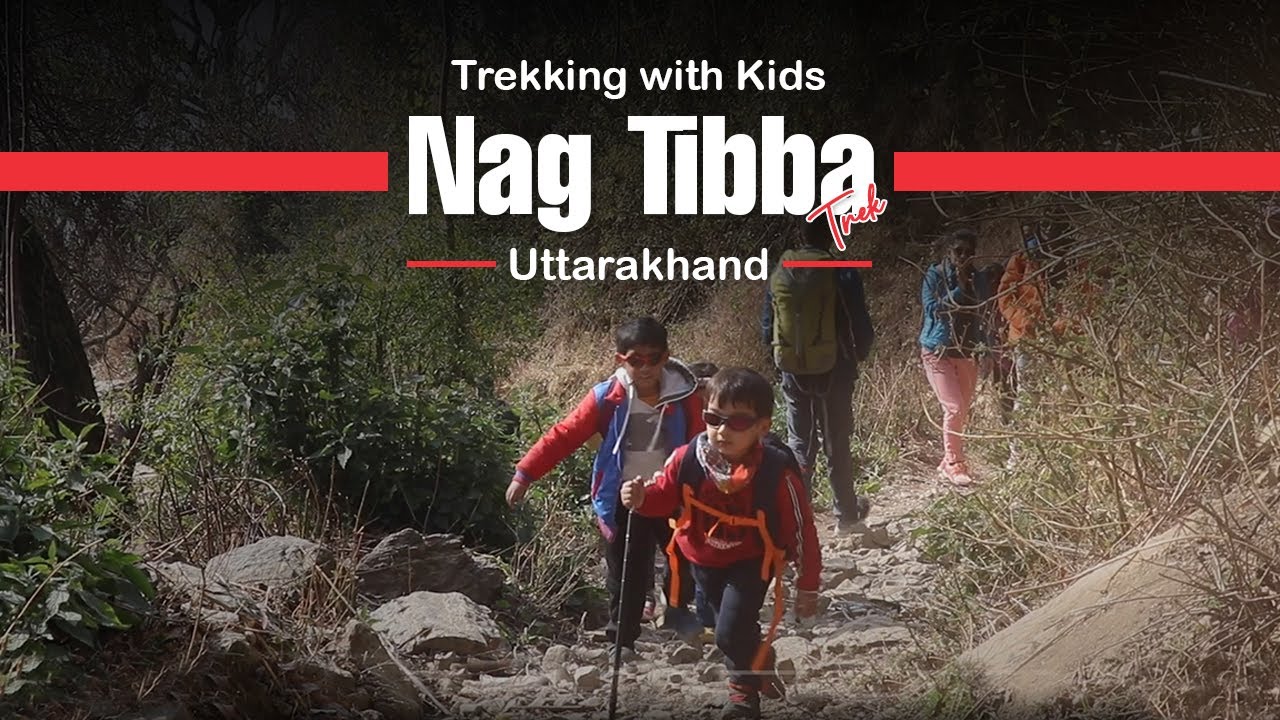 Nag Tibba Trek: The Perfect First Himalayan Adventure for Families & Kids
