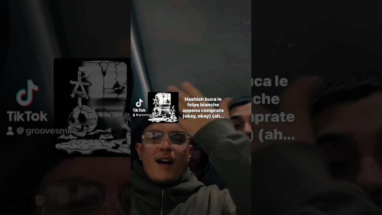 nerissimaserpe&rsquo;s vibesss#mattone#testo#vibes#music#perte#trend#viralsong#lipsync#fyp#nerissimaserpe