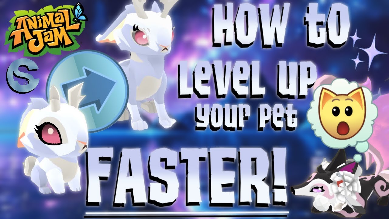 ✨How to Level Up Your Pet FASTER!✨ | Animal Jam Play Wild | 