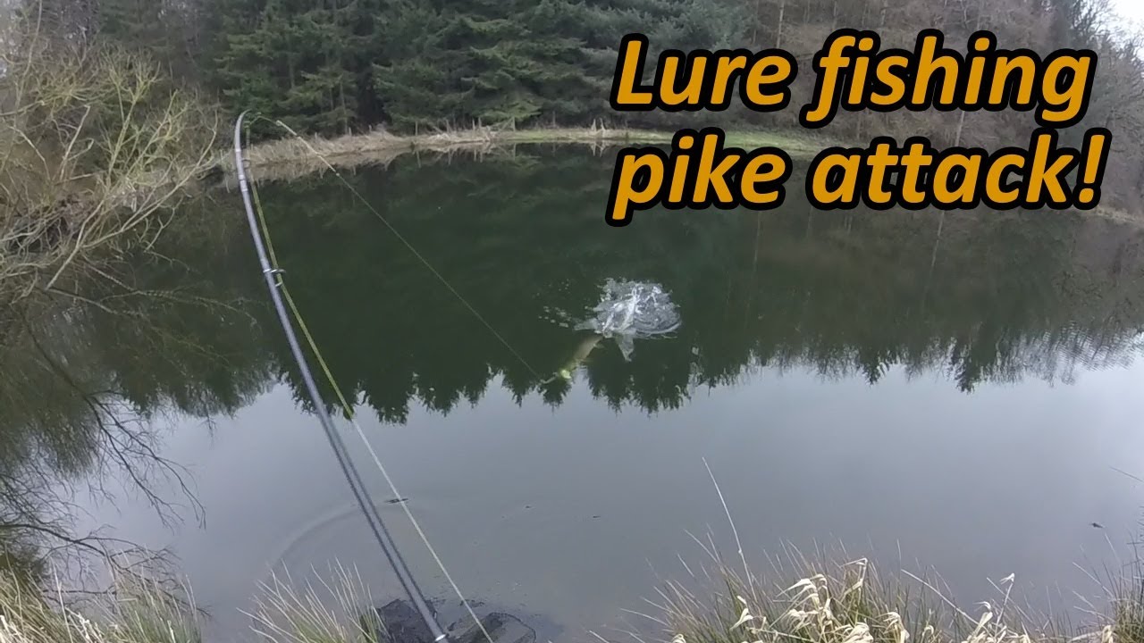 Lure fishing-cannibal pike attack