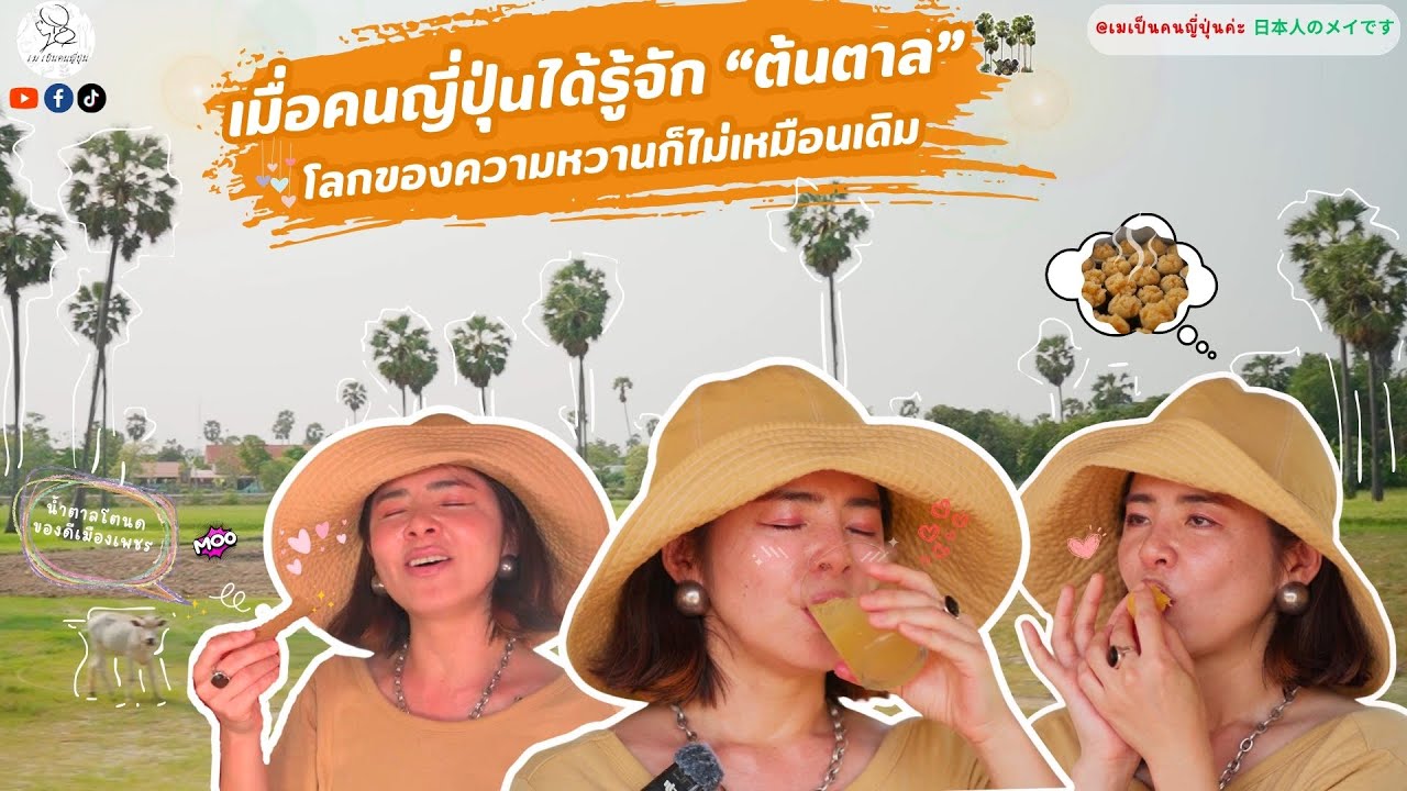เมื่อคนญี่ปุ่นได้รู้จักต้นตาล โลกของความหวานก็ไม่เหมือนเดิม : เมเป็นคนญี่ปุ่นค่ะ EP27 🌴😊