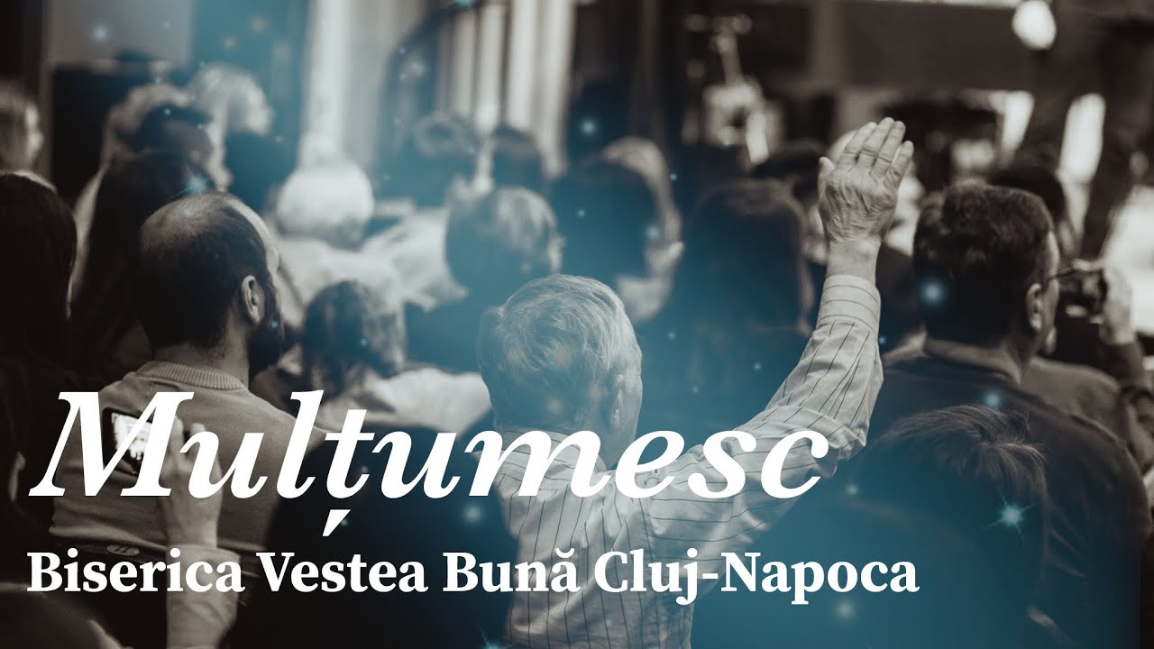 Mulțumesc - BVB
