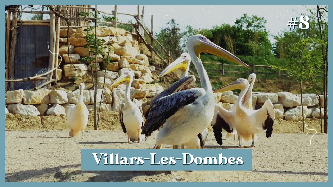 La RICHESSE de la Dombes
