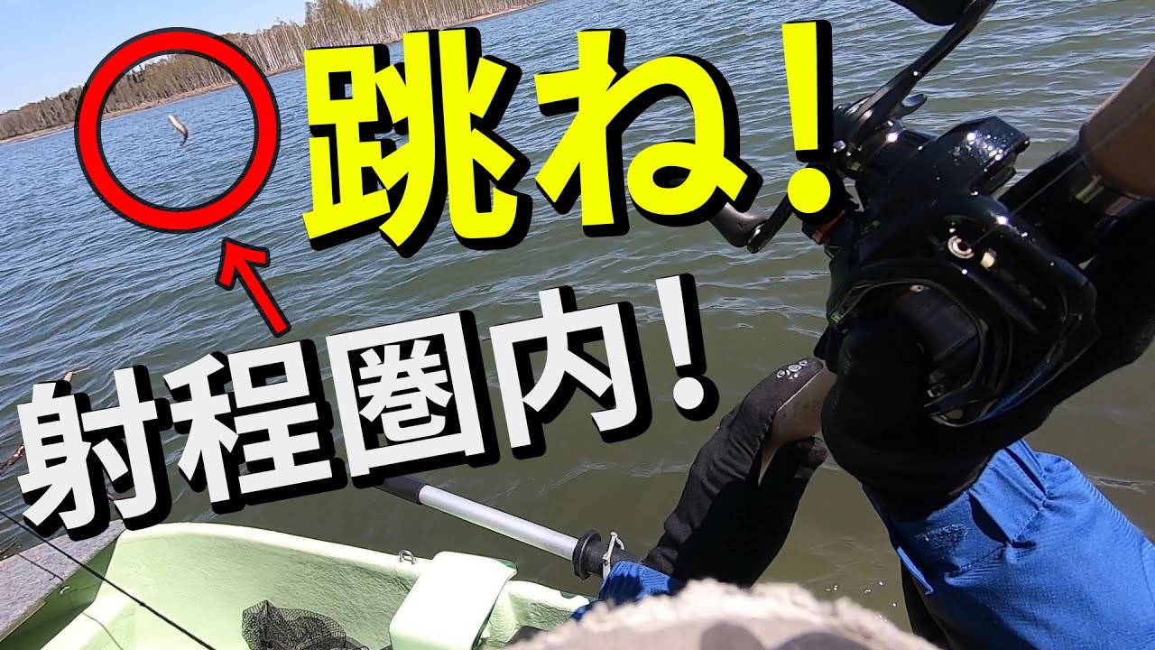 跳ねる巨大魚 メッカで挑む晩春6月のイトウ～北海道 朱鞠内湖～