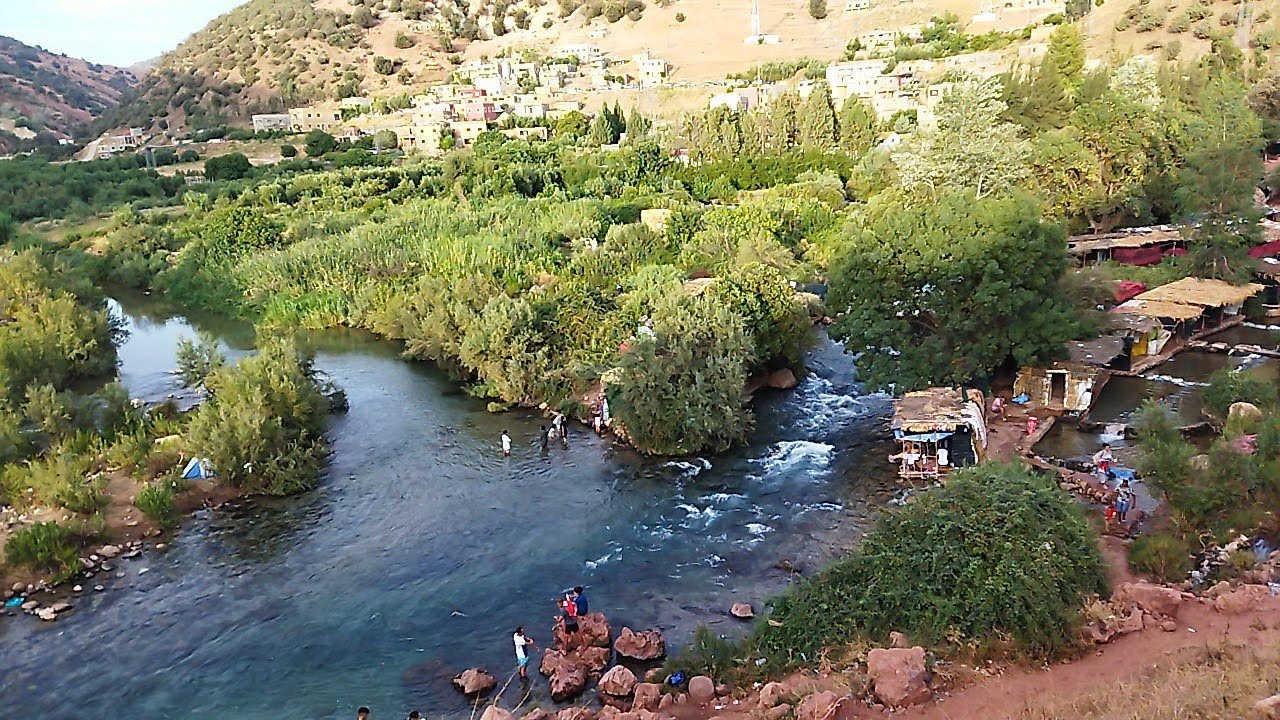 اليوم غانجيبكم معي ام ربيع