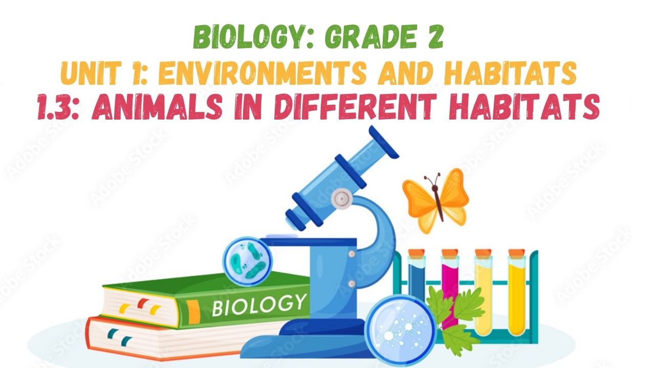 1.3: ANIMALS IN DIFFERENT HABITATS