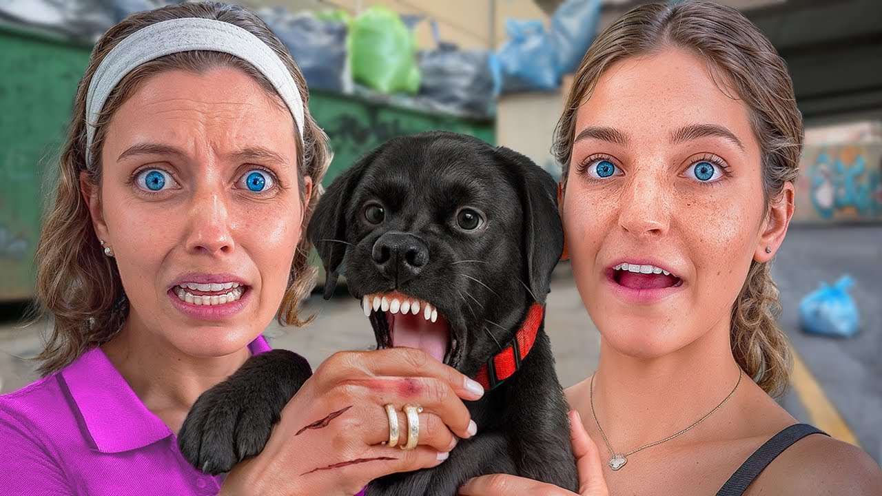 We ADOPTED a DOG No One Wanted