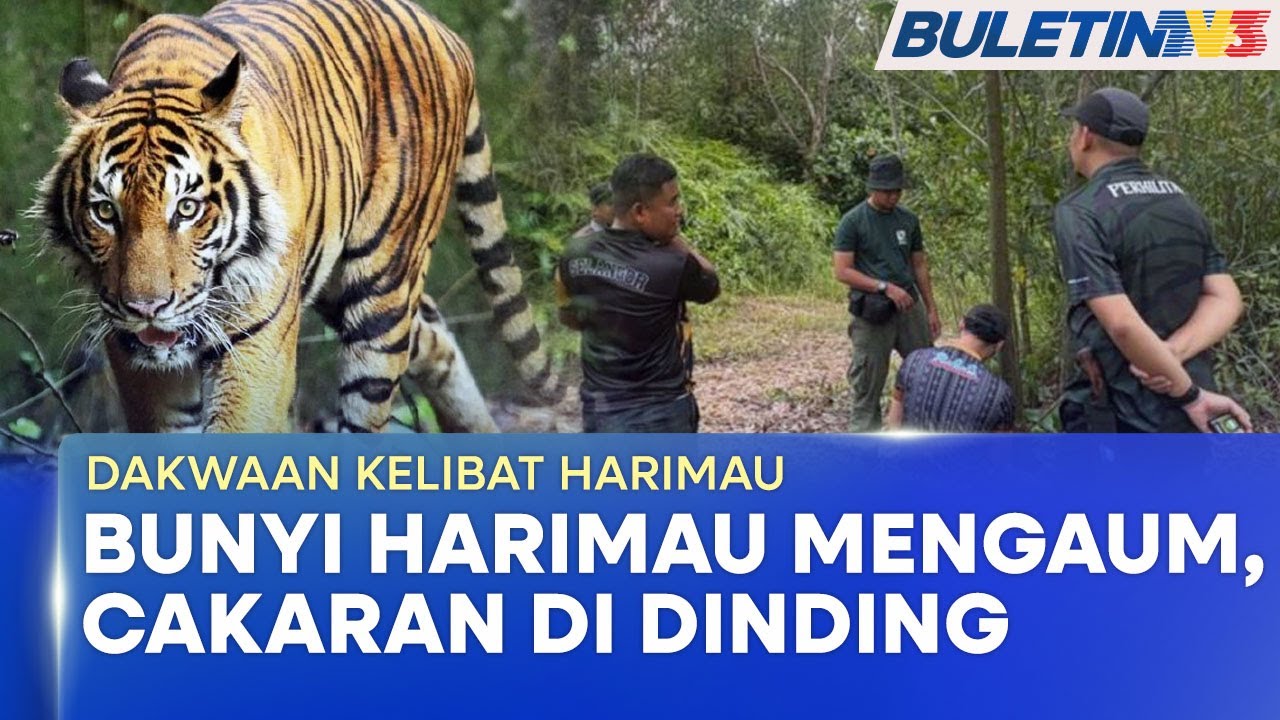 DAKWAAN KELIBAT HARIMAU | Penduduk Pangsapuri Sri Baiduri Hidup Dalam Ketakutan (BU)