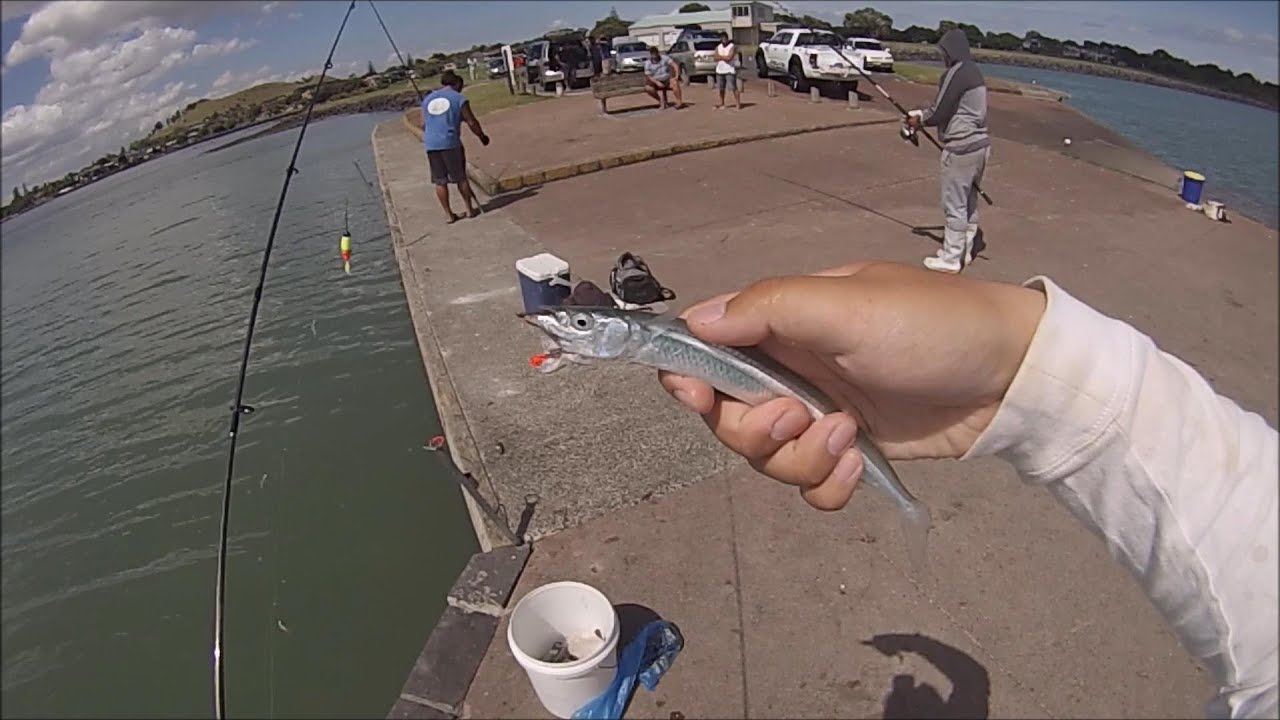 NZ Fishing | Basic Float Fishing for Piper, Mackerel and Mullet