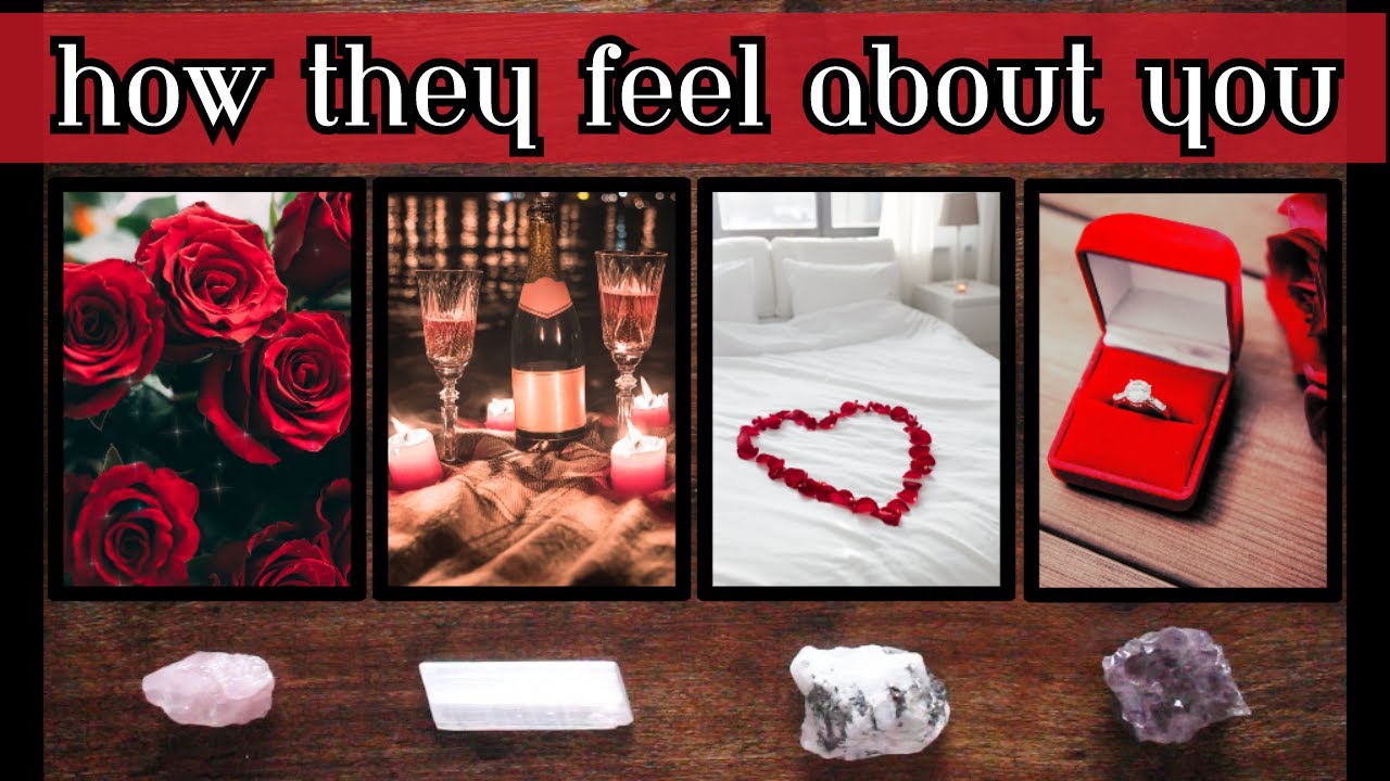 🌹 How They Feel About You 🌹 Pick a Card Love Tarot