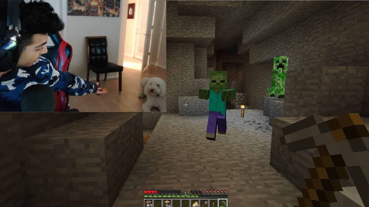 minecraft survival but it's all going wrong