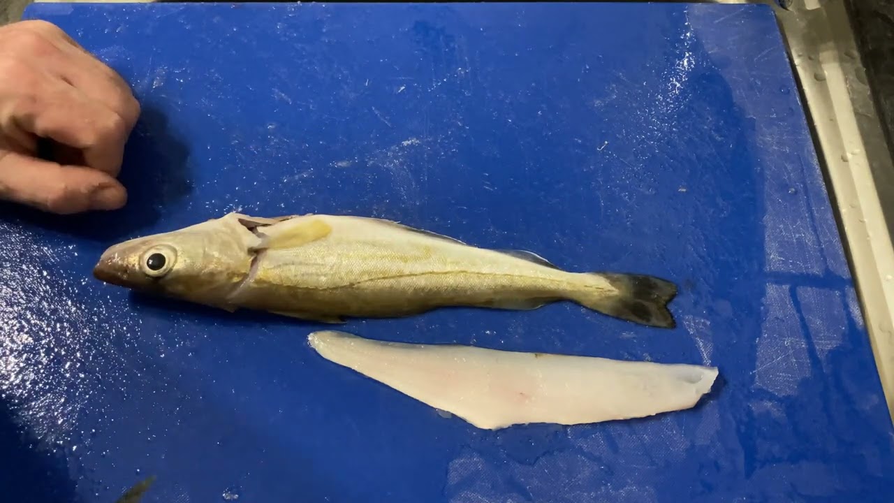 How to fillet, bone & skin small whiting. Perfect fish goujons. Ideal snack for lunch. Sea fishing