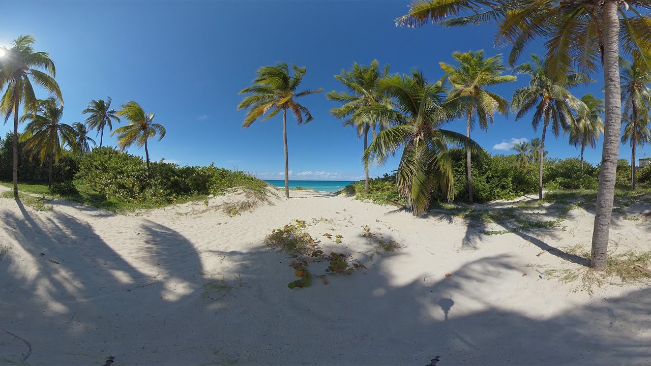 8k cuba varadero beach palms stereo