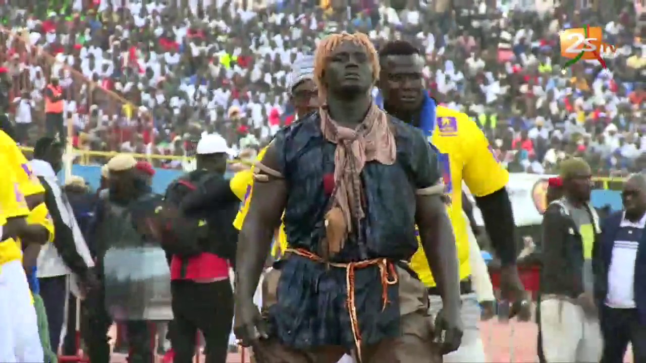 TOUSS BALLA GAYE 2 CONTRE GRIS