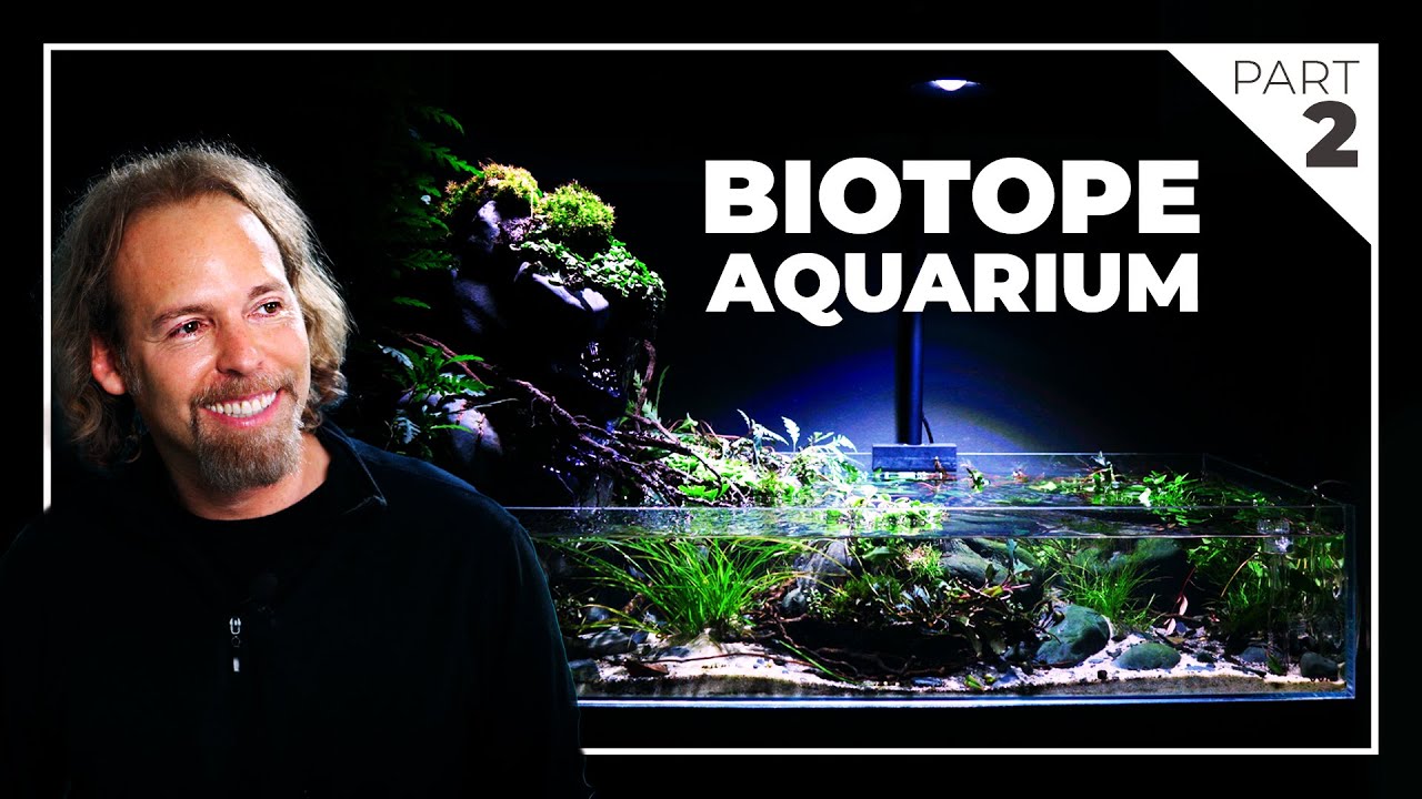 The Birth of a BIOTOPE Aquarium | YAGO ALONSO Workshop Part #2