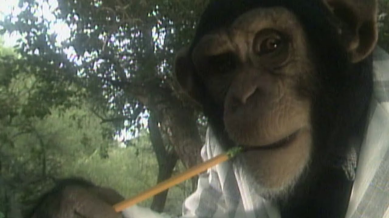 Kidsongs - Why Don't You Write Me?