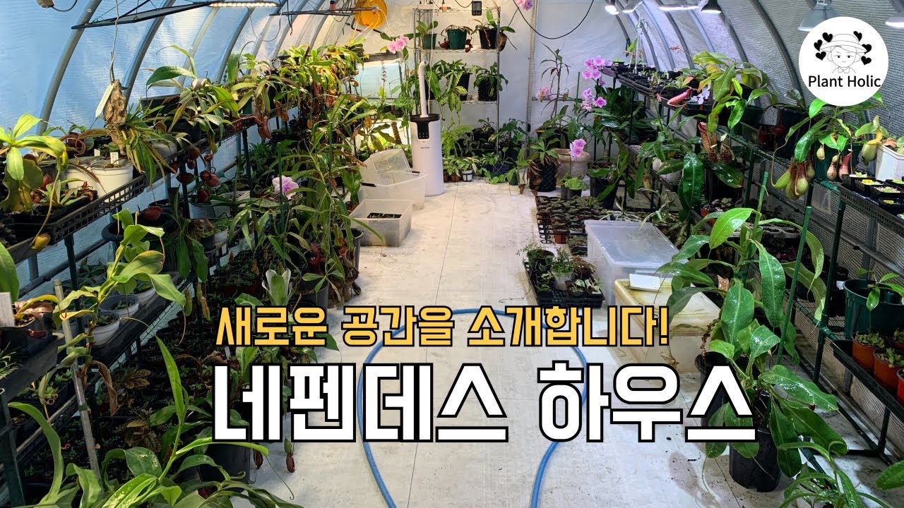 새로운 네펜데스 하우스 소개합니다:)