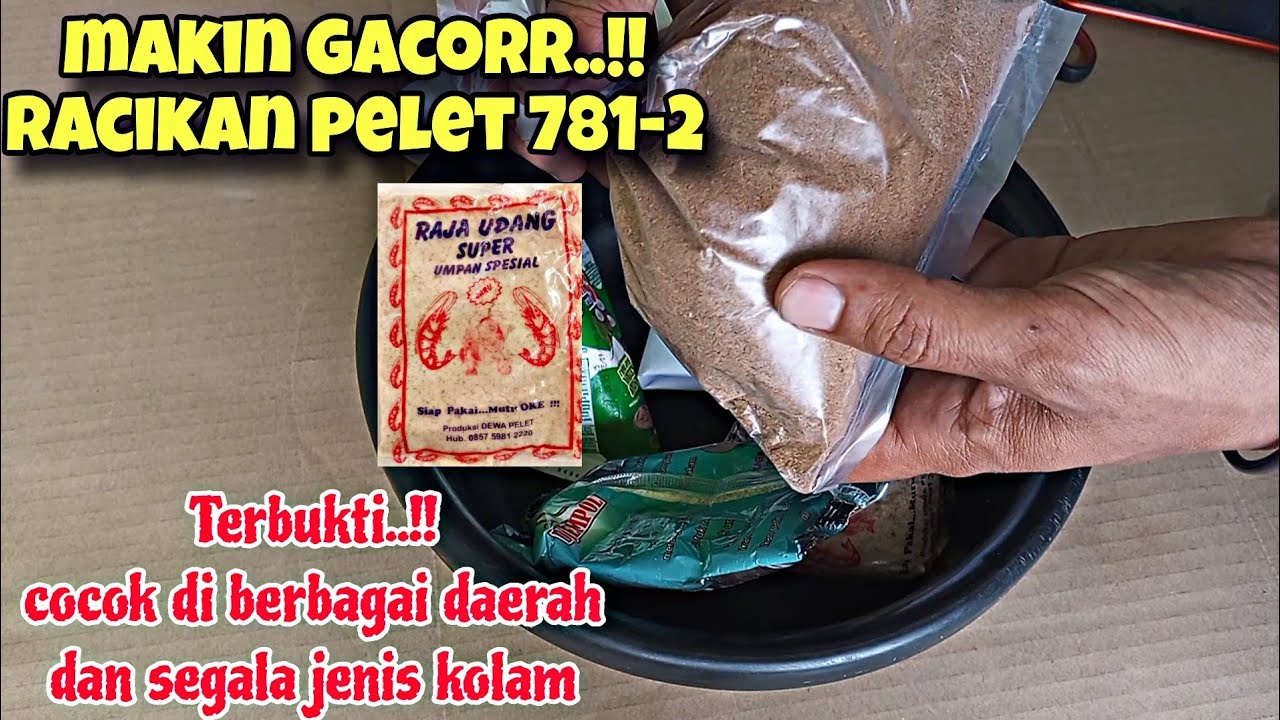MAKIN SADIS‼️UMPAN GACOR PELET 781-2 PK DI BLENDER DAN DIKUKUS MANCING IKAN MAS HARIAN DAN LOMBA