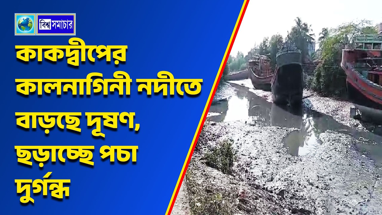 কাকদ্বীপের কালনাগিনী নদীতে বাড়ছে দূষণ, ছড়াচ্ছে পচা দুর্গন্ধ। Biswa Samachar