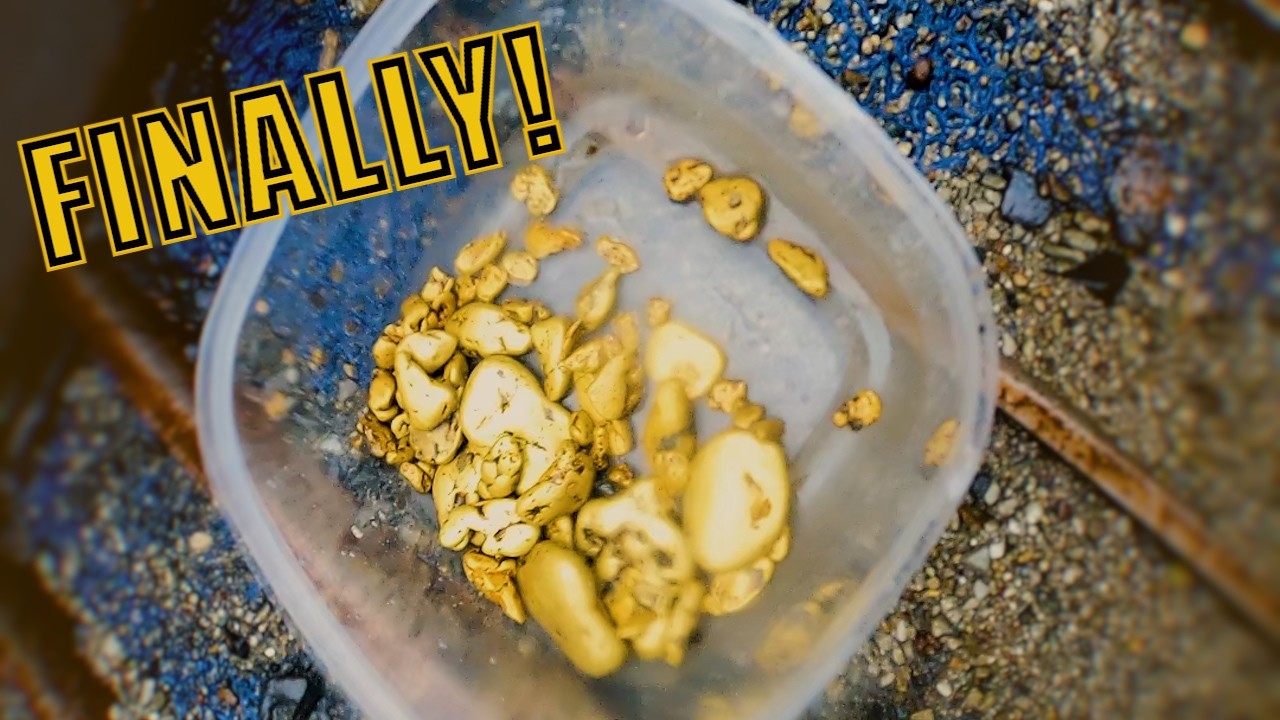 Ep. 19 Back on the Gold